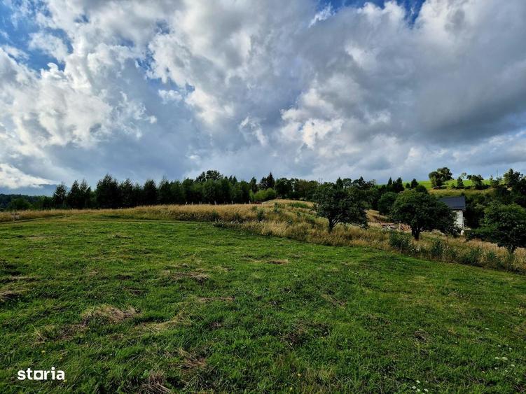 Teren Extravilan De Vanzare Pestera, Moeciu- Investitie Cu Potential - 3