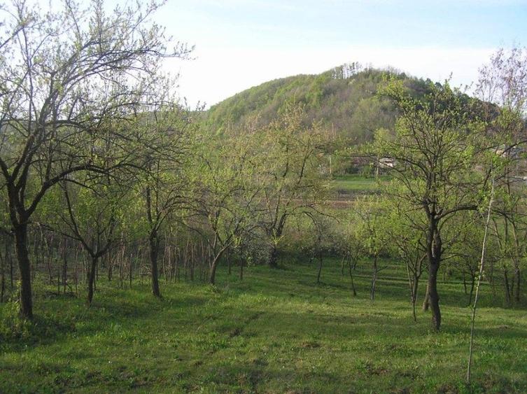 Teren Construcții intravilan de 6090 mp, în Călinești
