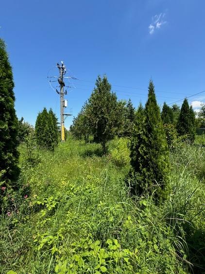 Teren Construcții de 2973 mp, în Izvoare