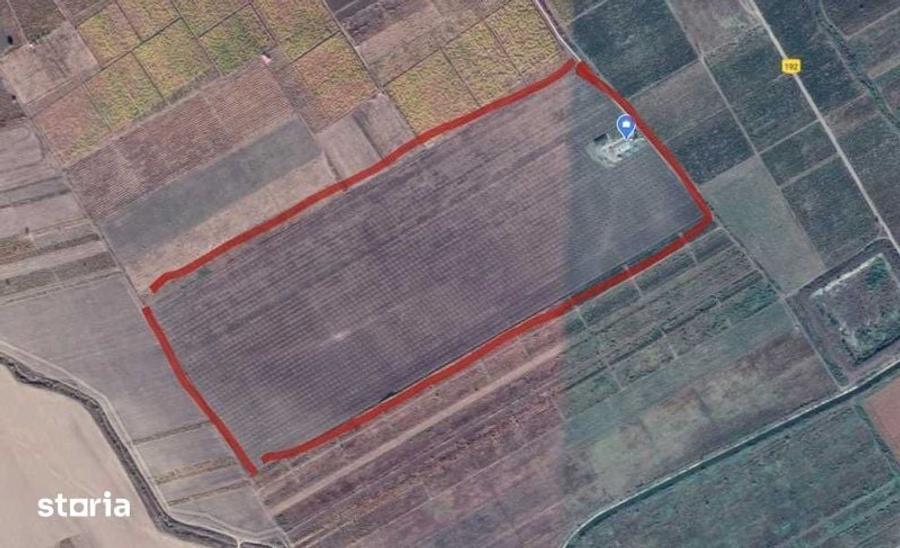 Teren de 370000 mp, în Pietroasele