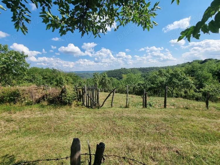 Teren în Milcoiu