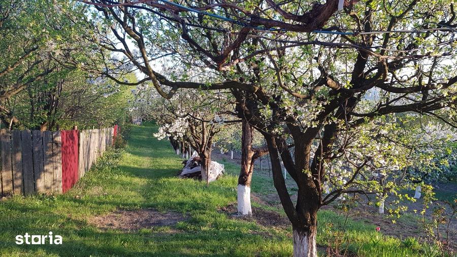 Teren de 2525 mp, în Bârnova