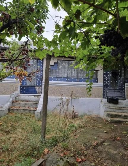 Casă cu 4 camere cu Teren 2700 Mp în Năeni