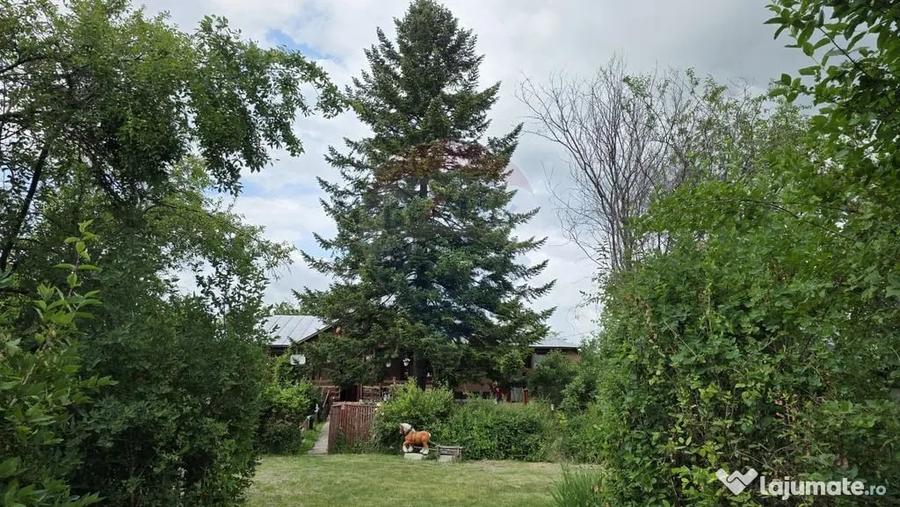 Domeniu rural, gospodarie/multifunctionala cu casa, livad... - 7