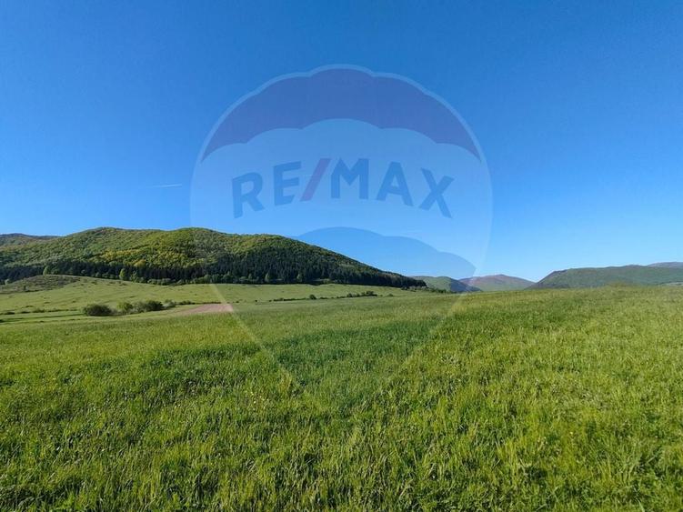 Teren de 1668 mp, în Gura Râului