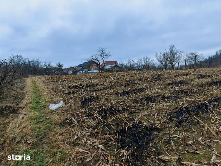 Teren de 3000 mp, în Măgura