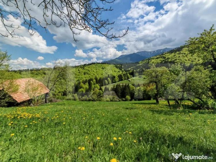Teren de 3400 mp, în Bran