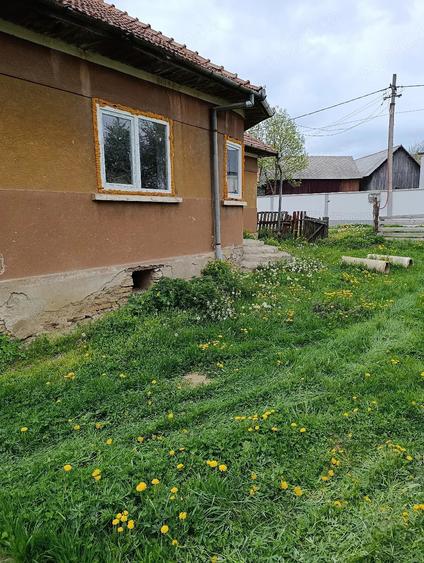 Casă cu 3 camere cu Teren 500 Mp în Dângău Mare