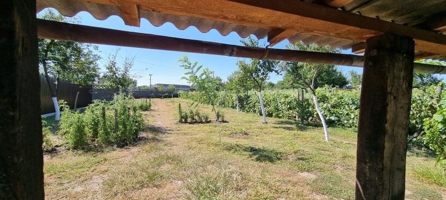 De vanzare Casa in Valea lui mihai - 4