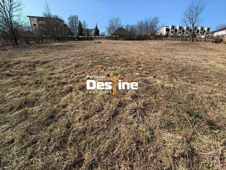 Teren Construcții intravilan de 3000 mp, în Rediu