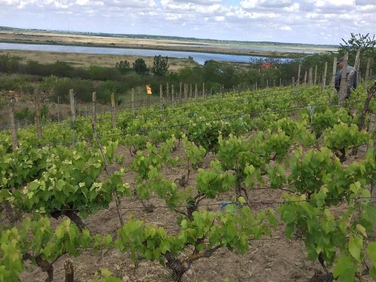 Teren de 3200 mp, în Somova