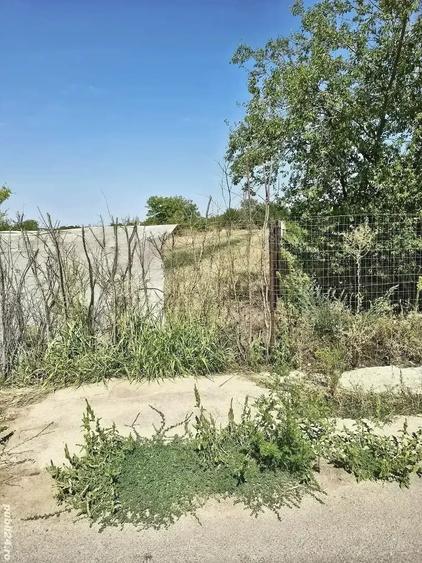 Teren de 1200 mp, în Varlaam