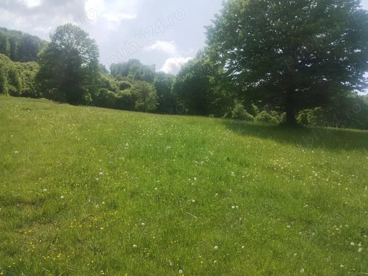 Teren de 5800 mp, în Scrădoasa
