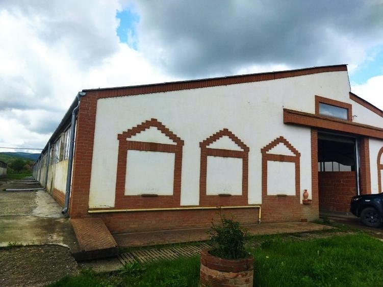 Spațiu industrial, de 1,881 mp, în Cechești