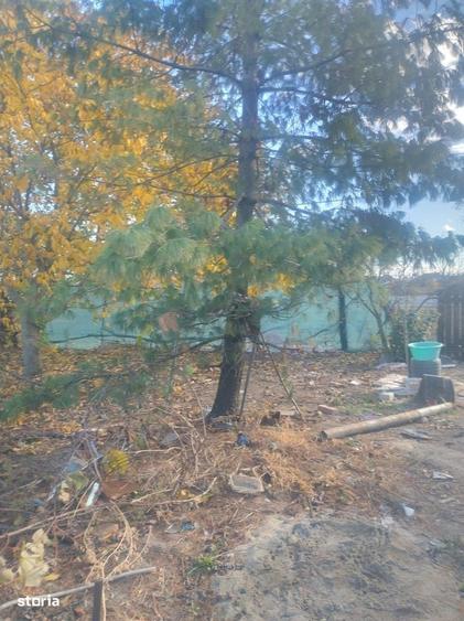 Casă cu 4 camere cu Teren 1250 Mp în Cenad