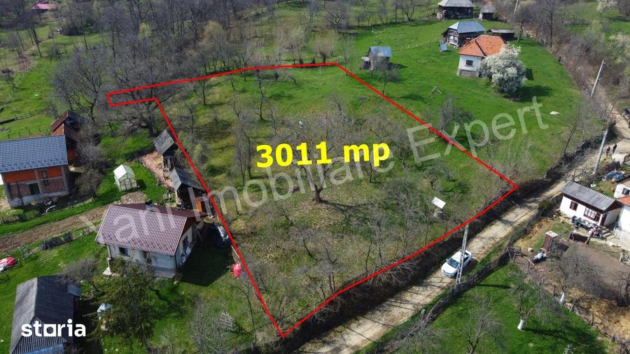 Teren de 3011 mp, în Bradu