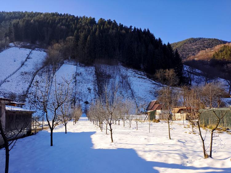 Teren Construcții intravilan de 1700 mp, în Râu Sadului