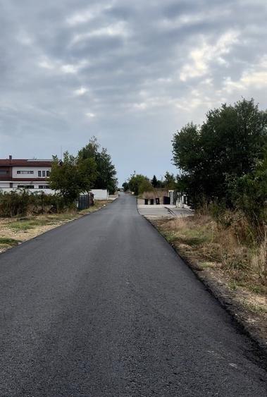 Teren Construcții intravilan de 5000 mp, în Ciofliceni
