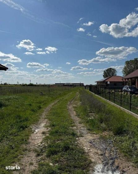 Teren de 1000 mp, în Lazuri