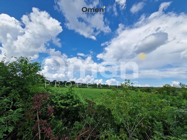 Teren agricol extravilan de 12000 mp, în Hideaga