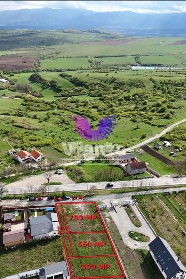 Teren Construcții intravilan de 650 mp, în Daia