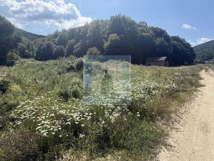 Teren Construcții intravilan de 500 mp, în Măieruș