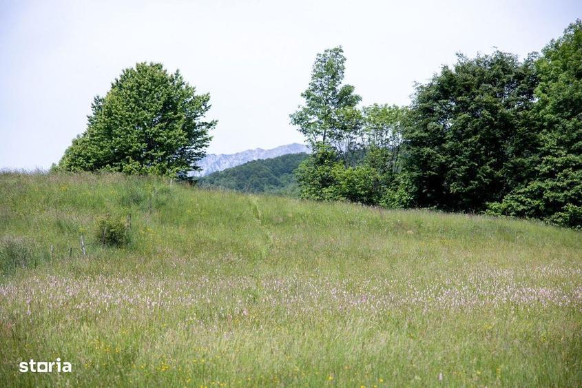 Teren intravilan - 1.050 mp in Bran cu utilitati priveli?te Bucegi - 9