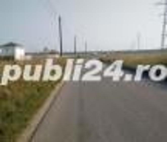 Teren de 30000 mp, în Săbăreni