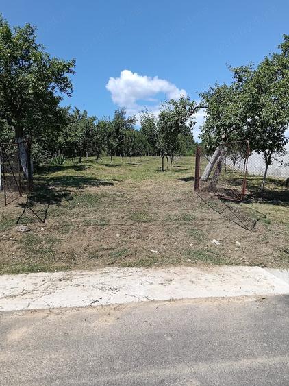 Teren de 1207 mp, în Burluși