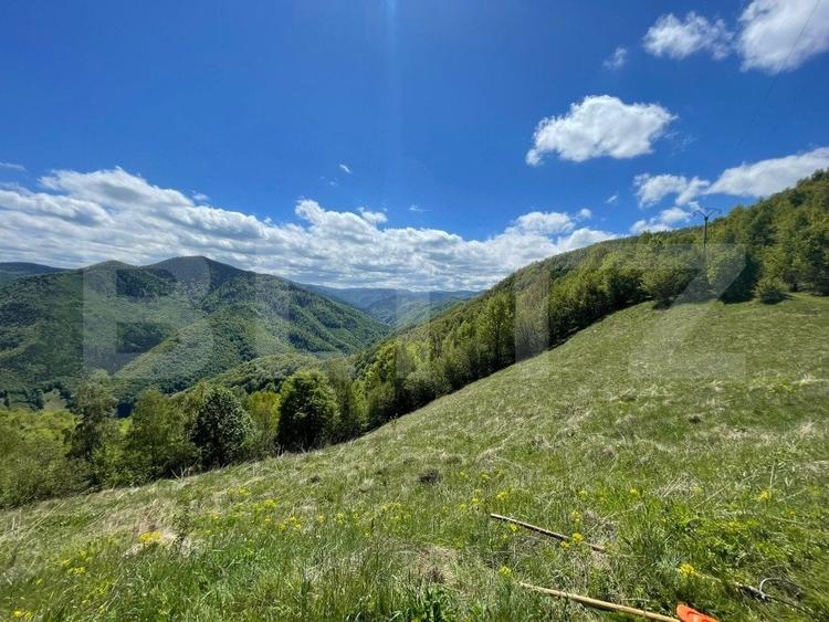 Teren agricol extravilan de 6000 mp, în Valea Ierii