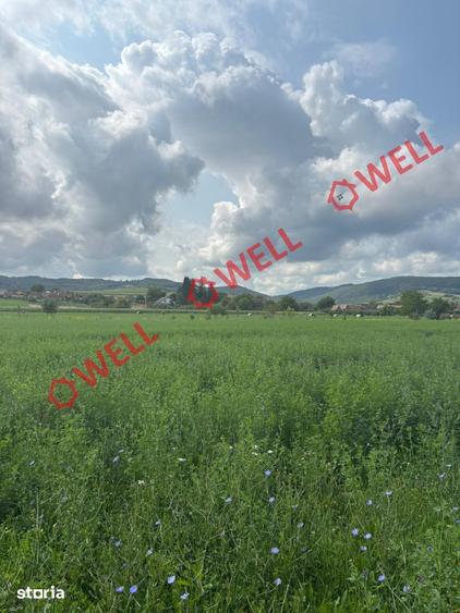 Teren de 5898 mp, în Albești