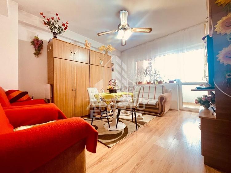 Apartament cu 2 camere semidecomandat în Alfa