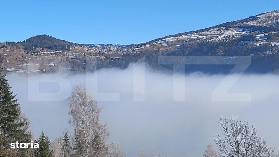 Teren de 10831 mp, în Gruia