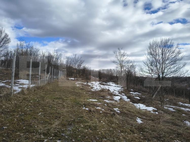 Teren Construcții intravilan de 10000 mp, în Păulești