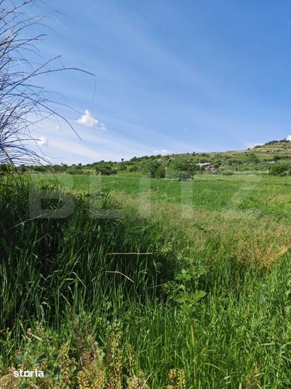 Teren de 4800 mp, în Central