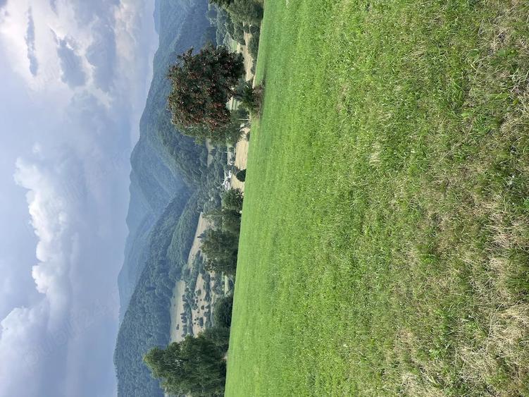 Teren de 7331 mp, în Vama Buzăului
