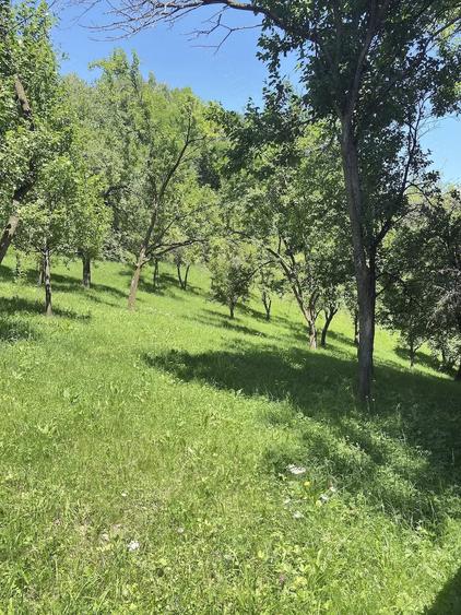 Teren de 6344 mp, în Seciu