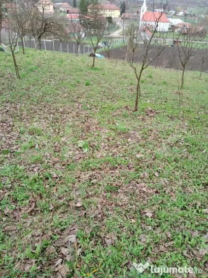 Teren de 3000 mp, în Călărași