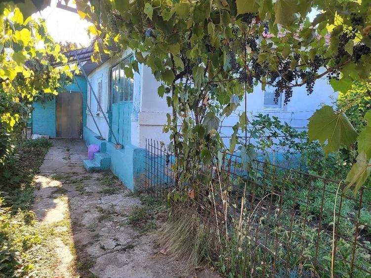 Casă cu Teren 1300 Mp în Ciorani