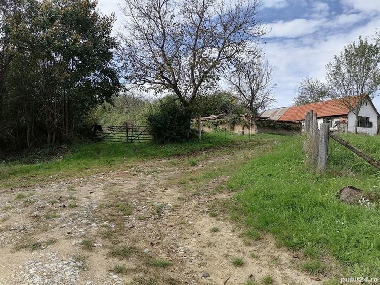 Teren de 30000 mp, în Central