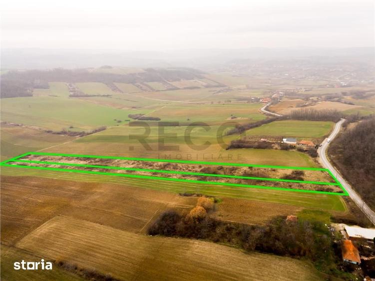 Teren de 13041 mp, în Sârbi