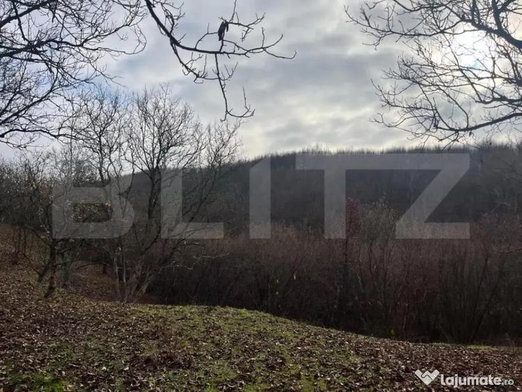 Teren extravilan, 4 hectare, langa livada de mere Ghinda - 2