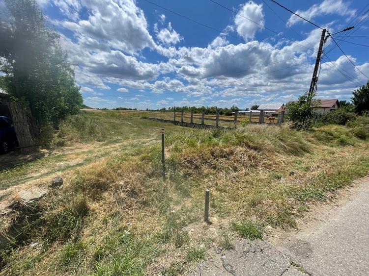 Teren Construcții intravilan de 5700 mp, în Satu Nou (Lipănești)