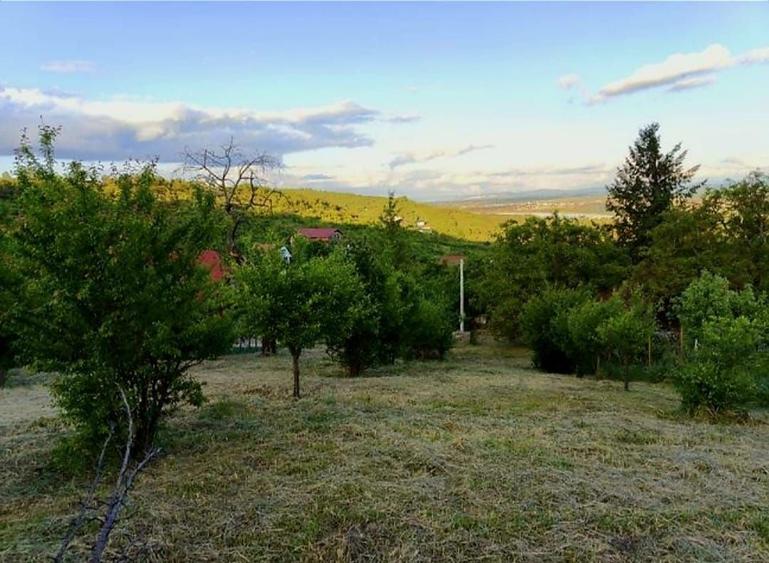 Teren intravilan de 1765 mp, în Podgoria