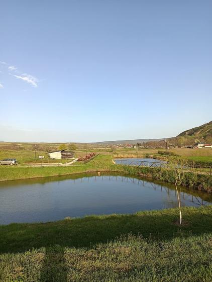 Teren de 35200 mp, în Bozieni