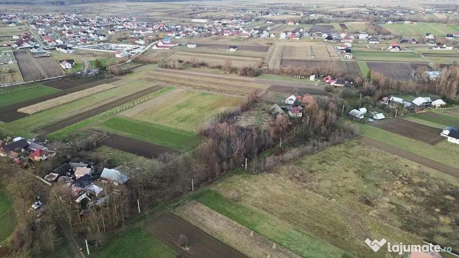 Teren de vanzare in Fratautii Noi / Strada Dealului - 13