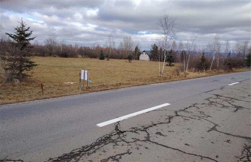 Teren Construcții extravilan de 4000 mp, în Borzont