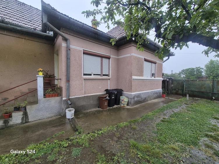Teren de 4000 mp, în Glodeni