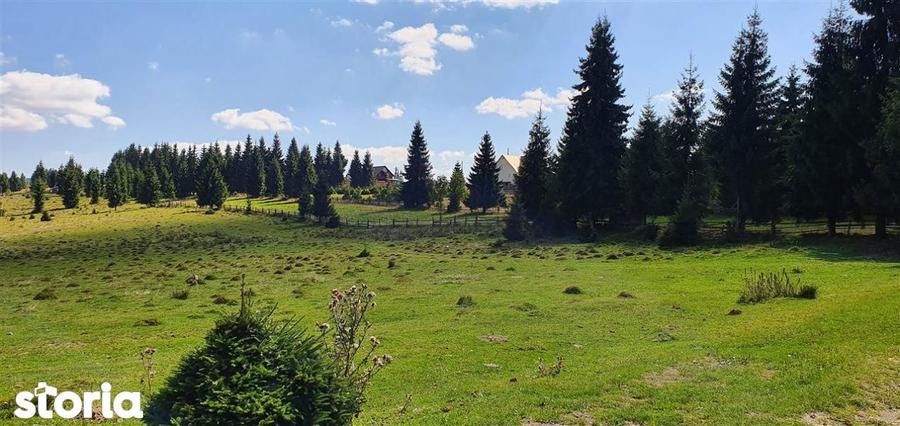 Teren de 1350 mp, în Beliș