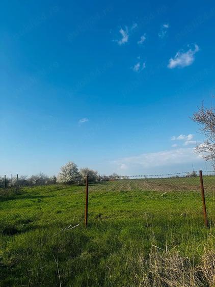 Teren de 1000 mp, în Potârnichea